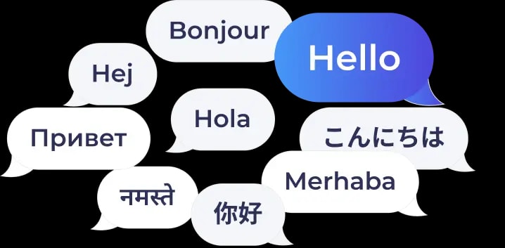Multilingual Support